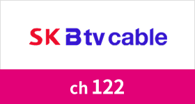 SK BTV Cabel 채널번호 208